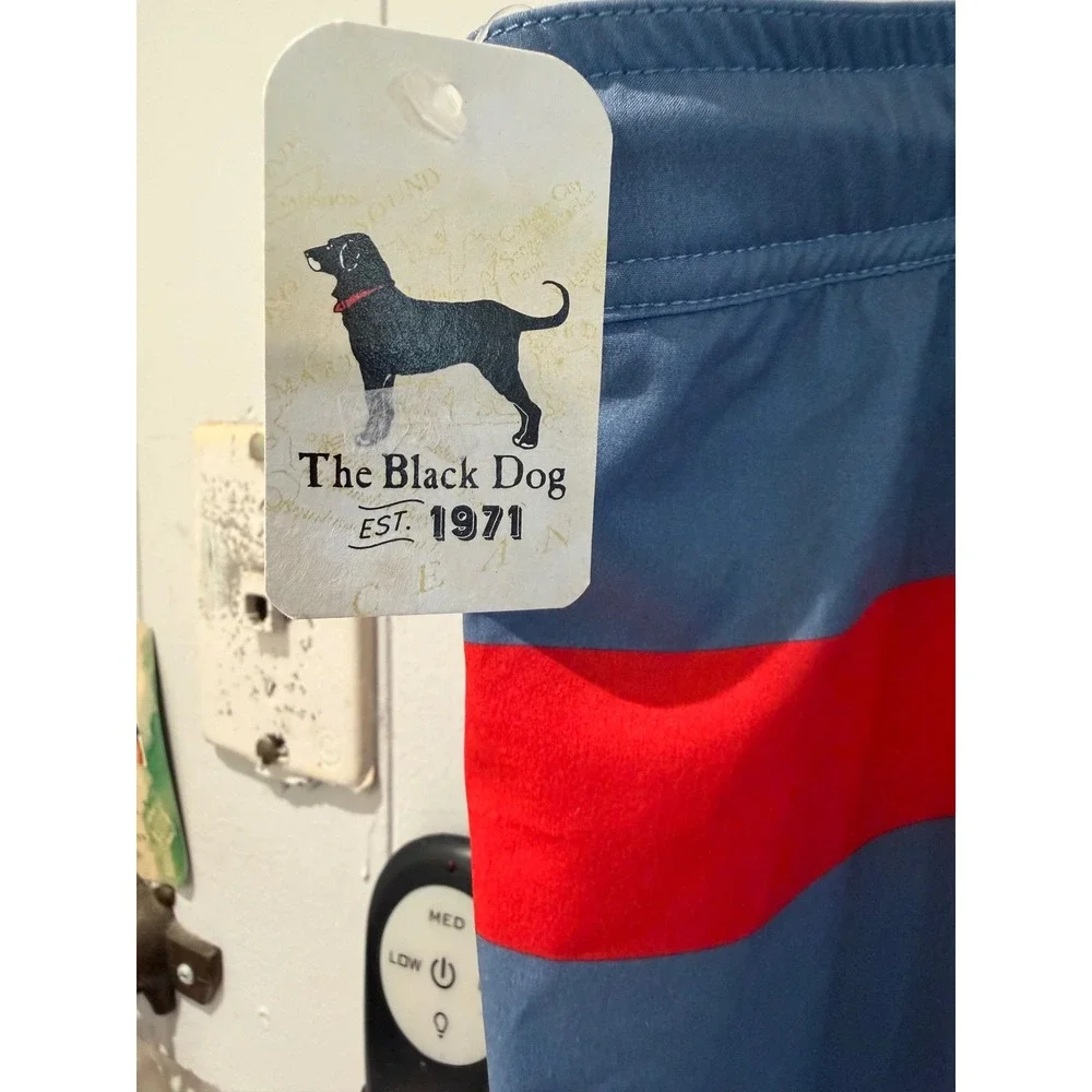 The Black Dog black dog